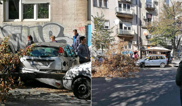 ПОГЛЕДАЈТЕ: Колима улетео у башту ресторана, пало дрво, повређене две девојке, блокирана улица! (ФОТО+ВИДЕО) 